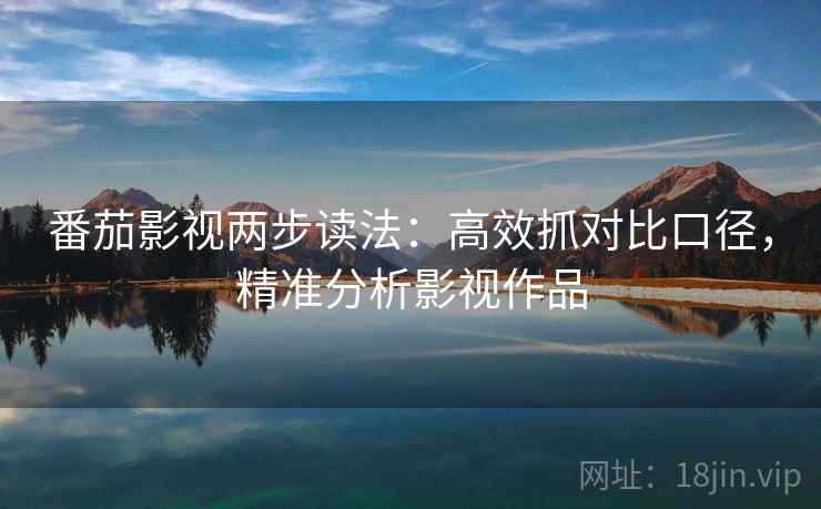 番茄影视两步读法：高效抓对比口径，精准分析影视作品