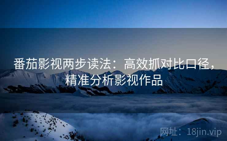 番茄影视两步读法：高效抓对比口径，精准分析影视作品