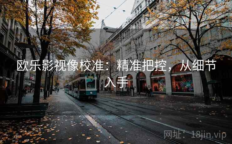 欧乐影视像校准：精准把控，从细节入手